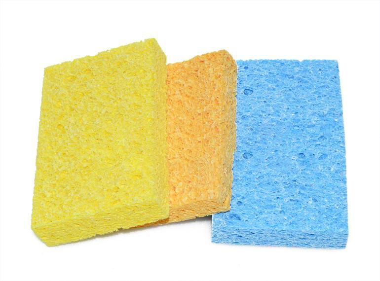 compressed sponge