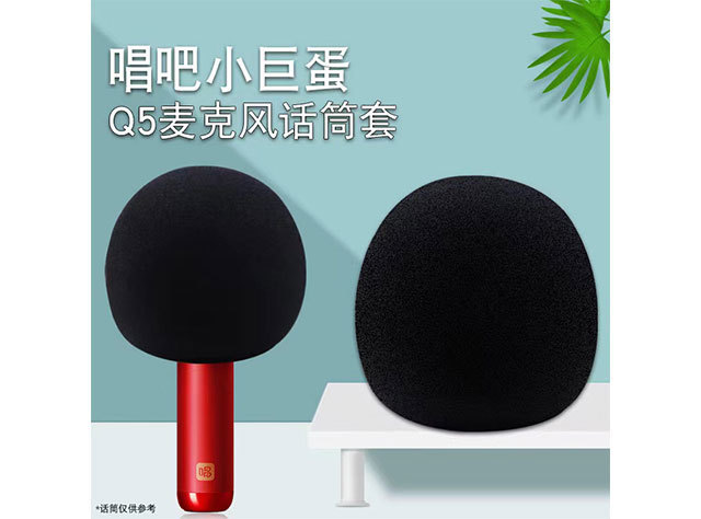 Microphone sponge cover