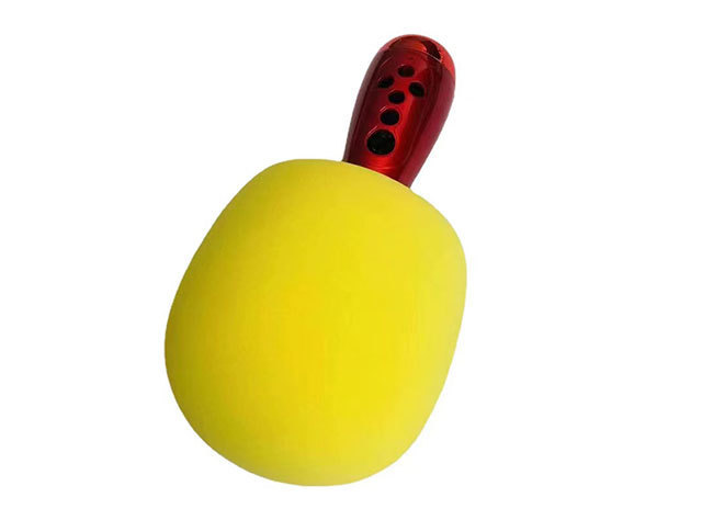 Microphone sponge cover